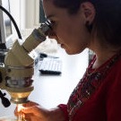 Photo Anja Fischer - copyright Anneke Dekker